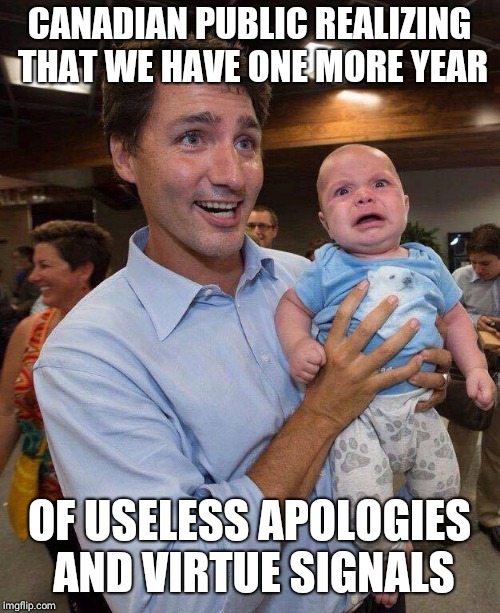 Trudeau Scowl | CANADIAN PUBLIC REALIZING THAT WE HAVE ONE MORE YEAR; OF USELESS APOLOGIES AND VIRTUE SIGNALS | image tagged in trudeau scowl | made w/ Imgflip meme maker