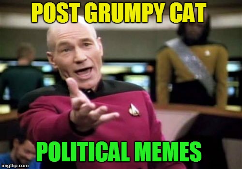 Picard Wtf Meme | POST GRUMPY CAT POLITICAL MEMES | image tagged in memes,picard wtf | made w/ Imgflip meme maker