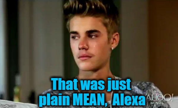 That was just plain MEAN,  Alexa | made w/ Imgflip meme maker