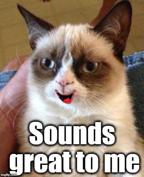 Sounds great to me | image tagged in grumpy cat smile | made w/ Imgflip meme maker