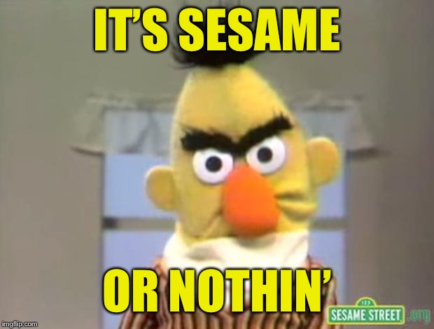 Sesame Street - Angry Bert | IT’S SESAME OR NOTHIN’ | image tagged in sesame street - angry bert | made w/ Imgflip meme maker