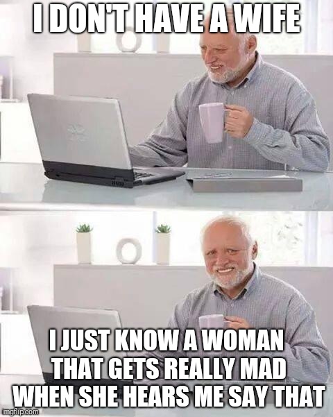 Hide the Pain Harold | I DON'T HAVE A WIFE; I JUST KNOW A WOMAN THAT GETS REALLY MAD WHEN SHE HEARS ME SAY THAT | image tagged in memes,hide the pain harold | made w/ Imgflip meme maker