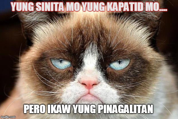 Grumpy Cat Not Amused | YUNG SINITA MO YUNG KAPATID MO.... PERO IKAW YUNG PINAGALITAN | image tagged in memes,grumpy cat not amused,grumpy cat | made w/ Imgflip meme maker