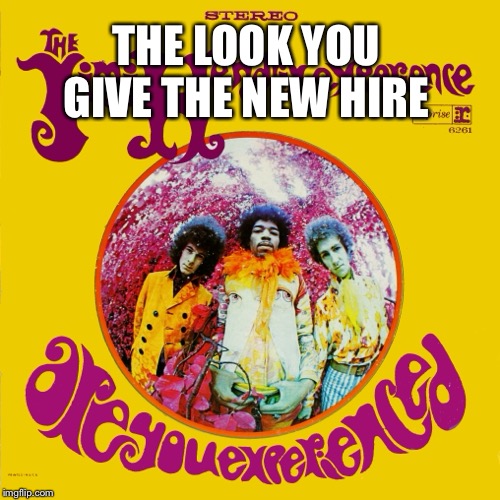 Are you experienced? | THE LOOK YOU GIVE THE NEW HIRE | image tagged in jimi hendrix,experience,new job,music,employees,employment | made w/ Imgflip meme maker
