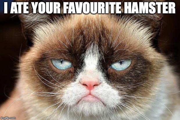 Grumpy Cat Not Amused Meme | I ATE YOUR FAVOURITE HAMSTER | image tagged in memes,grumpy cat not amused,grumpy cat | made w/ Imgflip meme maker