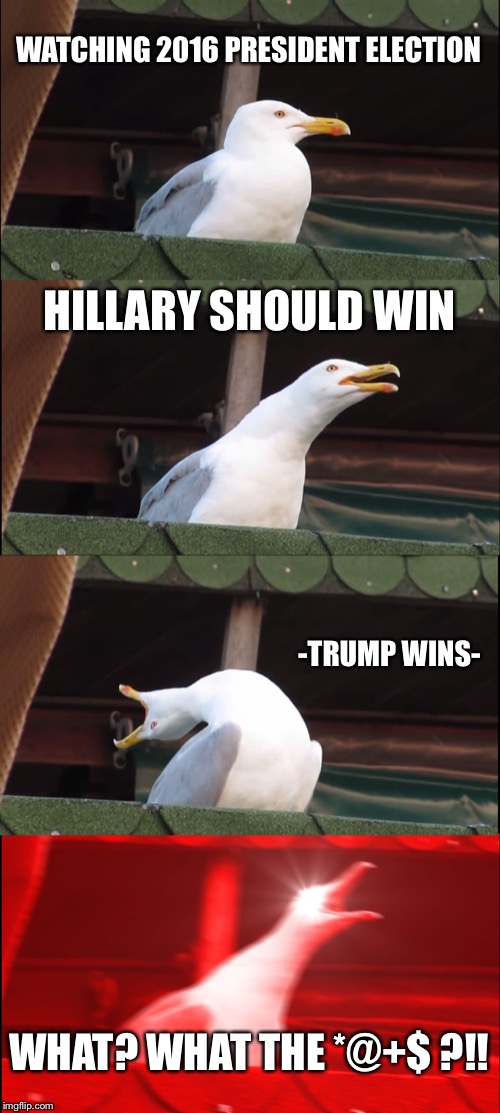 Inhaling Seagull | WATCHING 2016 PRESIDENT ELECTION; HILLARY SHOULD WIN; -TRUMP WINS-; WHAT? WHAT THE *@+$ ?!! | image tagged in memes,inhaling seagull | made w/ Imgflip meme maker