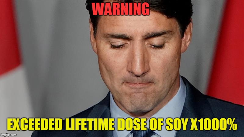 Soy Overdose | WARNING; EXCEEDED LIFETIME DOSE OF SOY X1000% | image tagged in soy,soy boi,trudeau | made w/ Imgflip meme maker