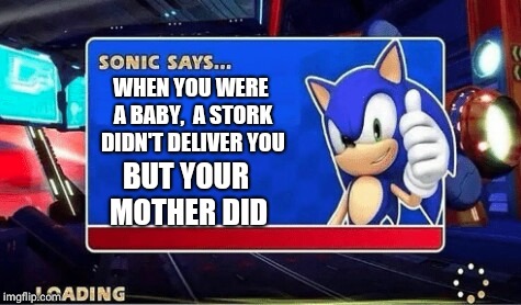 Sonic Says | WHEN YOU WERE A BABY,  A STORK DIDN'T DELIVER YOU; BUT YOUR MOTHER DID | image tagged in sonic says | made w/ Imgflip meme maker