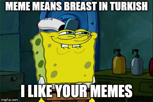 Don't You Squidward | MEME MEANS BREAST IN TURKISH; I LIKE YOUR MEMES | image tagged in memes,dont you squidward | made w/ Imgflip meme maker