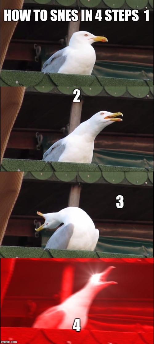 Inhaling Seagull Meme | HOW TO SNES IN 4 STEPS

1; 2; 3; 4 | image tagged in memes,inhaling seagull | made w/ Imgflip meme maker