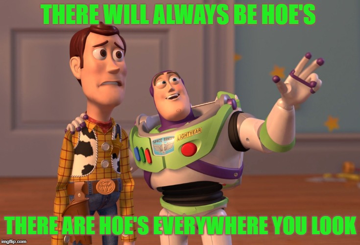 X, X Everywhere Meme | THERE WILL ALWAYS BE HOE'S; THERE ARE HOE'S EVERYWHERE YOU LOOK | image tagged in memes,x x everywhere | made w/ Imgflip meme maker