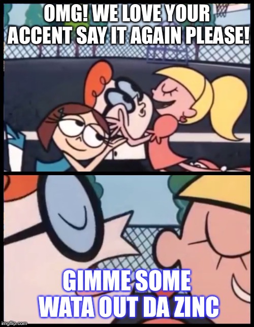 Say it Again, Dexter Meme | OMG! WE LOVE YOUR ACCENT SAY IT AGAIN PLEASE! GIMME SOME WATA OUT DA ZINC | image tagged in say it again dexter | made w/ Imgflip meme maker