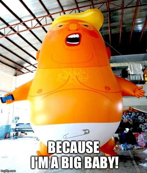 Trump baby blimp | BECAUSE I'M A BIG BABY! | image tagged in trump baby blimp | made w/ Imgflip meme maker