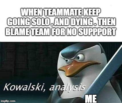 kowalski, analysis | WHEN TEAMMATE KEEP GOING SOLO , AND DYING . THEN BLAME TEAM FOR NO SUPPPORT; ME | image tagged in kowalski analysis | made w/ Imgflip meme maker
