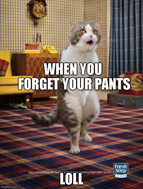 Gotta Go Cat | WHEN YOU FORGET YOUR PANTS; LOLL | image tagged in memes,gotta go cat | made w/ Imgflip meme maker