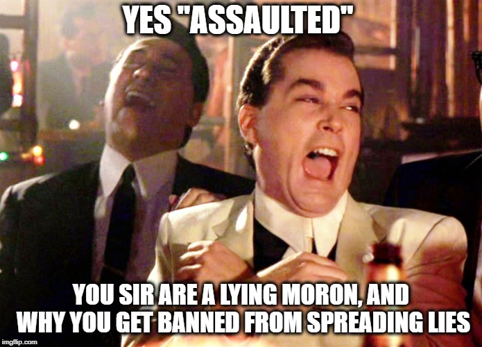 Good Fellas Hilarious Meme | YES "ASSAULTED" YOU SIR ARE A LYING MORON, AND WHY YOU GET BANNED FROM SPREADING LIES | image tagged in memes,good fellas hilarious | made w/ Imgflip meme maker