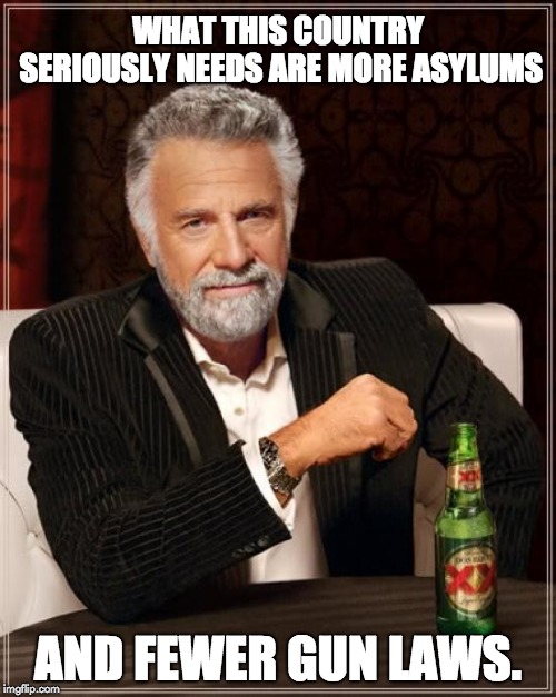 The Most Interesting Man In The World | WHAT THIS COUNTRY SERIOUSLY NEEDS ARE MORE ASYLUMS; AND FEWER GUN LAWS. | image tagged in memes,the most interesting man in the world | made w/ Imgflip meme maker