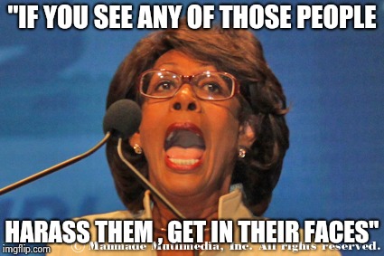 Maxine waters | "IF YOU SEE ANY OF THOSE PEOPLE HARASS THEM , GET IN THEIR FACES" | image tagged in maxine waters | made w/ Imgflip meme maker