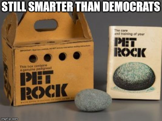 Pet rock | STILL SMARTER THAN DEMOCRATS | image tagged in pet rock | made w/ Imgflip meme maker