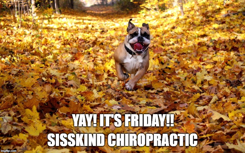 SISSKIND CHIROPRACTIC; YAY! IT'S FRIDAY!! | image tagged in yay it's friday | made w/ Imgflip meme maker