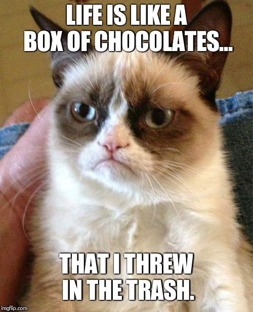 Grumpy Cat | LIFE IS LIKE A BOX OF CHOCOLATES... THAT I THREW IN THE TRASH. | image tagged in memes,grumpy cat | made w/ Imgflip meme maker