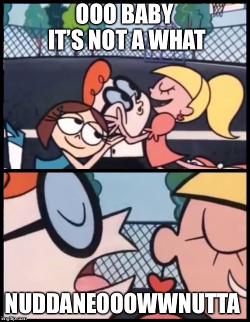 Say it Again, Dexter | OOO BABY IT’S NOT A WHAT; NUDDANEOOOWWNUTTA | image tagged in say it again dexter | made w/ Imgflip meme maker