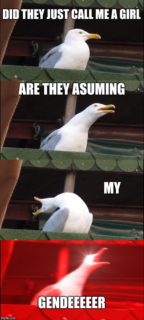 Inhaling Seagull Meme | DID THEY JUST CALL ME A GIRL; ARE THEY ASUMING; MY; GENDEEEEER | image tagged in memes,inhaling seagull | made w/ Imgflip meme maker