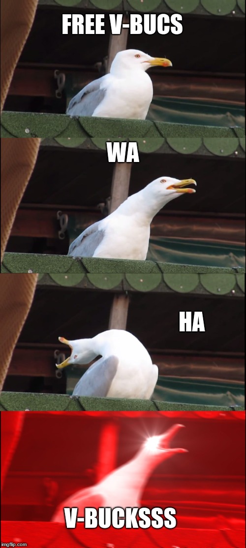 Inhaling Seagull | FREE V-BUCS; WA; HA; V-BUCKSSS | image tagged in memes,inhaling seagull | made w/ Imgflip meme maker