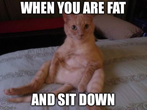 Chester The Cat | WHEN YOU ARE FAT; AND SIT DOWN | image tagged in memes,chester the cat | made w/ Imgflip meme maker