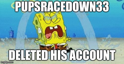 sad crying spongebob | PUPSRACEDOWN33; DELETED HIS ACCOUNT | image tagged in sad crying spongebob | made w/ Imgflip meme maker