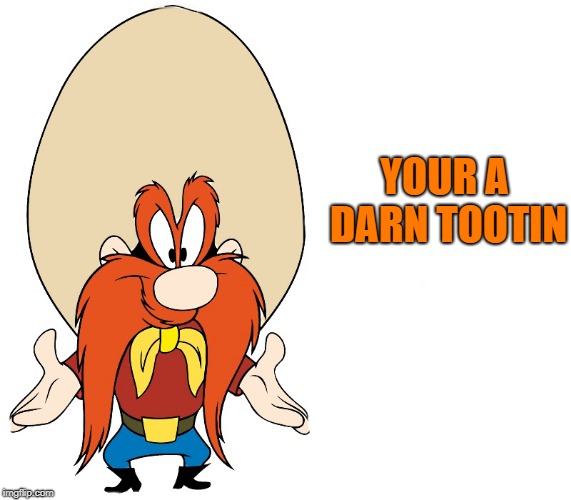 YOUR A DARN TOOTIN | image tagged in yosemite sam | made w/ Imgflip meme maker