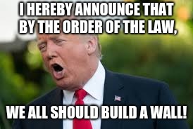 bulid a wall! | I HEREBY ANNOUNCE THAT BY THE ORDER OF THE LAW, WE ALL SHOULD BUILD A WALL! | image tagged in donald trump,political meme,build a wall | made w/ Imgflip meme maker