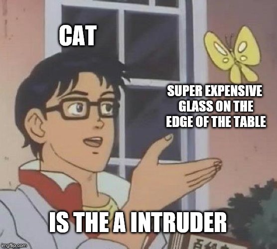 Is This A Pigeon | CAT; SUPER EXPENSIVE GLASS ON THE EDGE OF THE TABLE; IS THE A INTRUDER | image tagged in memes,is this a pigeon | made w/ Imgflip meme maker