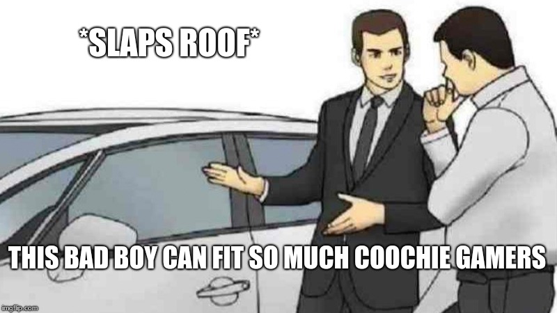 CHIEF APROOVES | *SLAPS ROOF*; THIS BAD BOY CAN FIT SO MUCH COOCHIE GAMERS | image tagged in memes,car salesman slaps roof of car | made w/ Imgflip meme maker