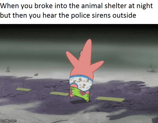 Patrick Breaks out | image tagged in patrick star | made w/ Imgflip meme maker