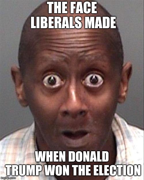 Funny Face | THE FACE LIBERALS MADE; WHEN DONALD TRUMP WON THE ELECTION | image tagged in funny face | made w/ Imgflip meme maker