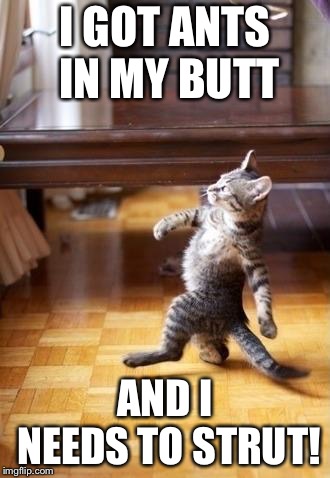 Cool Cat Stroll | I GOT ANTS IN MY BUTT; AND I NEEDS TO STRUT! | image tagged in memes,cool cat stroll | made w/ Imgflip meme maker