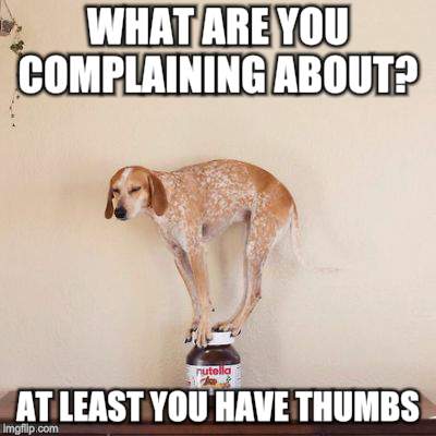 A little help here  | WHAT ARE YOU COMPLAINING ABOUT? AT LEAST YOU HAVE THUMBS | image tagged in memes,funny dogs,nutella,a helping hand | made w/ Imgflip meme maker