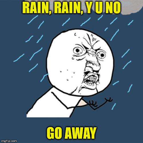 Y U NOvember, a socrates and punman21 event | RAIN, RAIN, Y U NO; GO AWAY | image tagged in memes,y u no | made w/ Imgflip meme maker