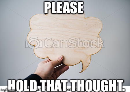PLEASE; HOLD THAT THOUGHT. | image tagged in holding a thought | made w/ Imgflip meme maker