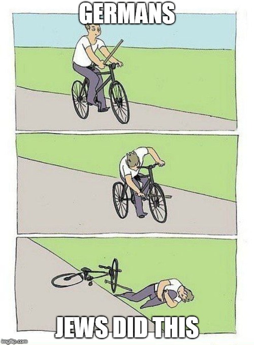 Bike Fall Meme | GERMANS; JEWS DID THIS | image tagged in bike fall | made w/ Imgflip meme maker