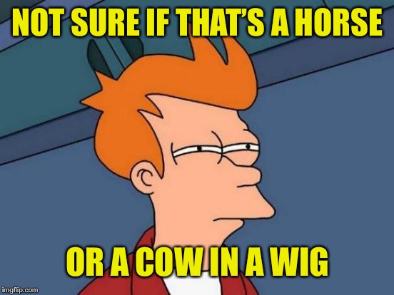 Futurama Fry Meme | NOT SURE IF THAT’S A HORSE OR A COW IN A WIG | image tagged in memes,futurama fry | made w/ Imgflip meme maker
