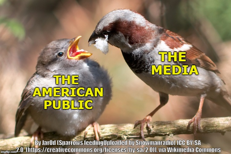 Processed Food | THE MEDIA; THE AMERICAN PUBLIC; By Jar0d (Sparrows feedingUploaded by Snowmanradio) [CC BY-SA 2.0  (https://creativecommons.org/licenses/by-sa/2.0)], via Wikimedia Commons | image tagged in media,mainstream media,birds | made w/ Imgflip meme maker