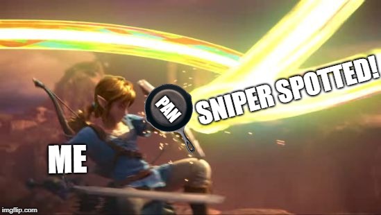 PUBG Technique Be Like | SNIPER SPOTTED! PAN; ME | image tagged in link defense world of light,pubg,pan,sniper | made w/ Imgflip meme maker