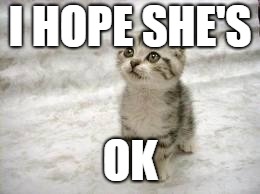 Sad Cat Meme | I HOPE SHE'S OK | image tagged in memes,sad cat | made w/ Imgflip meme maker