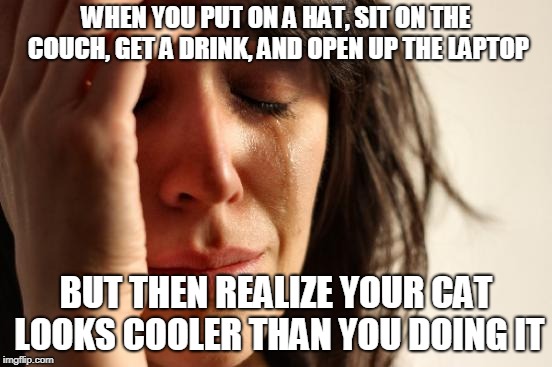 First World Problems Meme | WHEN YOU PUT ON A HAT, SIT ON THE COUCH, GET A DRINK, AND OPEN UP THE LAPTOP BUT THEN REALIZE YOUR CAT LOOKS COOLER THAN YOU DOING IT | image tagged in memes,first world problems | made w/ Imgflip meme maker