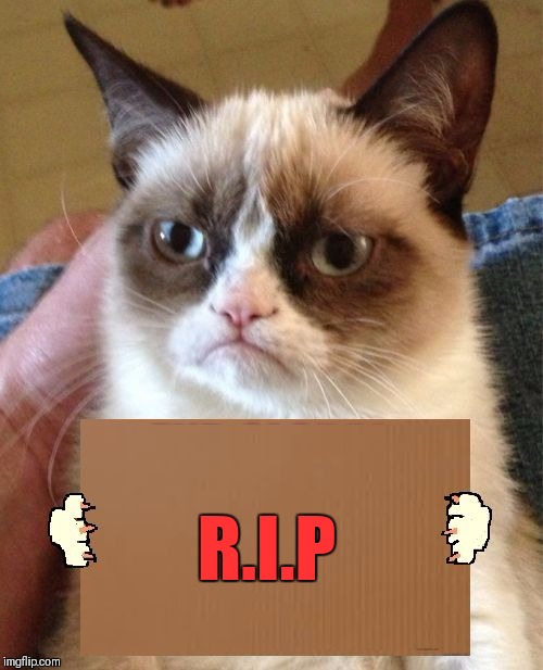 Grumpy Cat Cardboard Sign | R.I.P | image tagged in grumpy cat cardboard sign | made w/ Imgflip meme maker