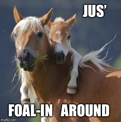 Foal Of Mine Meme | JUS’ FOAL-IN   AROUND | image tagged in memes,foal of mine | made w/ Imgflip meme maker