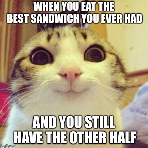 Smiling Cat Meme | WHEN YOU EAT THE BEST SANDWICH YOU EVER HAD; AND YOU STILL HAVE THE OTHER HALF | image tagged in memes,smiling cat | made w/ Imgflip meme maker