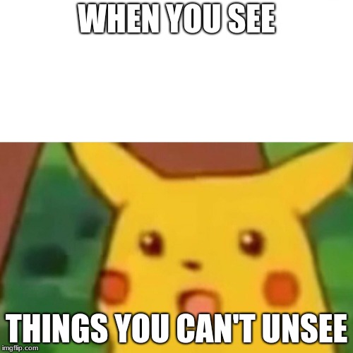 Surprised Pikachu Meme | WHEN YOU SEE; THINGS YOU CAN'T UNSEE | image tagged in memes,surprised pikachu | made w/ Imgflip meme maker